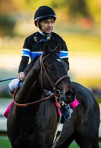 Shared Belief